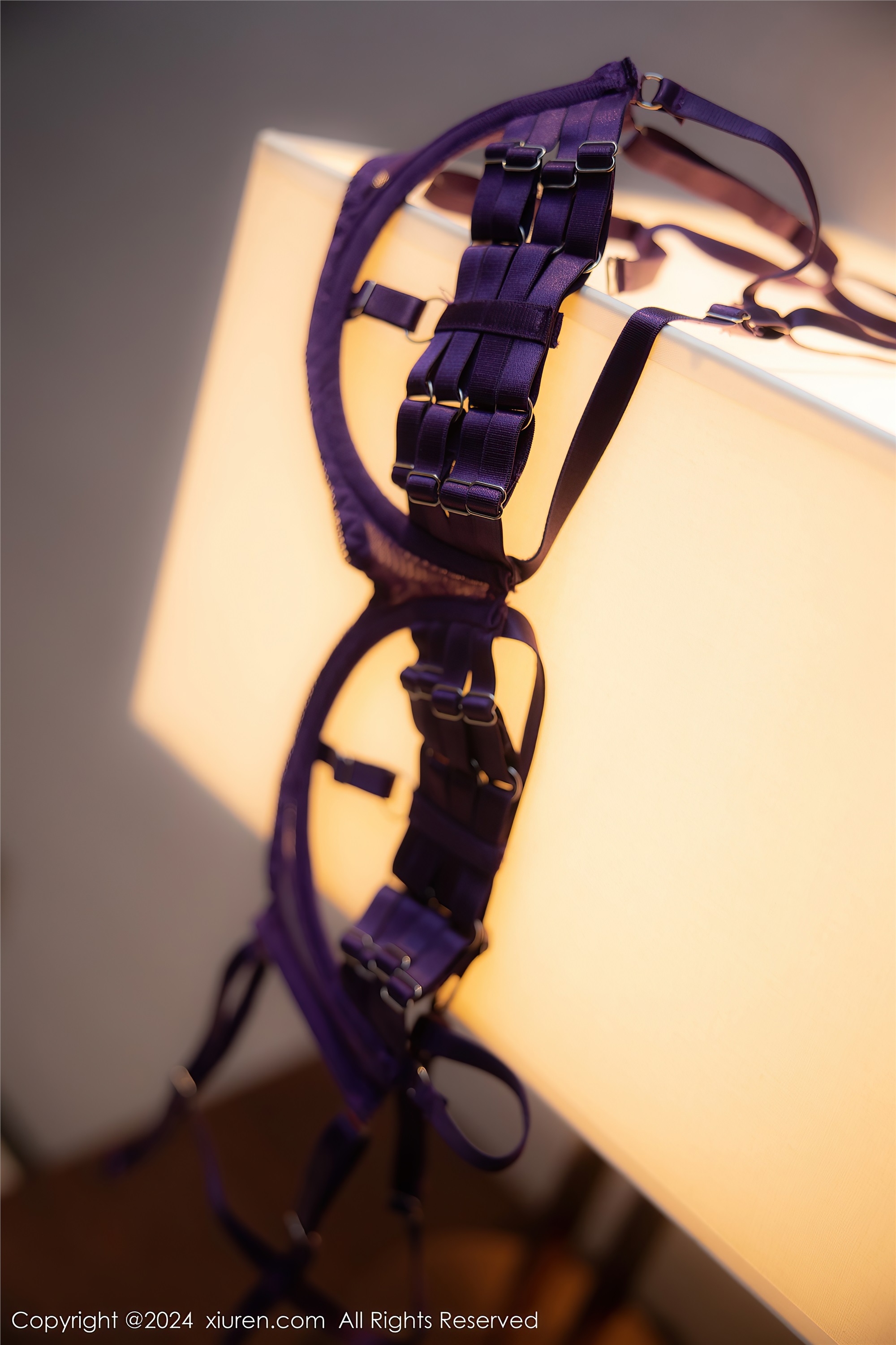 Xiuren秀人网 2024.02.01 No.8046 李若汐